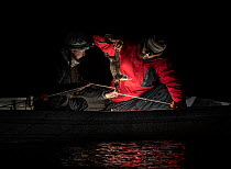 Two researchers row into the middle of the Snowy River to collect a platypus (Ornithorhynchus anatinus) from the gill net they had set hours before. Snowy River, Dalgety, NSW, Australia. September 201...