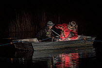 Two researchers rowing into the middle of the Snowy River to collect a platypus (Ornithorhynchus anatinus) from the gill net they had set hours before.  Snowy River, Dalgety, NSW, Australia. Septembe...