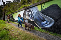 This mural next to the Yarra River which is a local hotspot for Platypus, and forms part of a broader 3 year 'Communities for Platypus program' in the area. Warburton, Victoria, Australia. J...