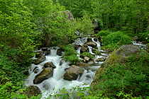 Mountain stream south of Casteil, Waterfall Ravin De Mariailles, French Pyrenees, France. May
