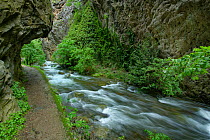 Vallee de la Caranca Gorges, French Pyrenees, France. May