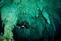 Scuba diver in cavern with stalactites, Gran Cenote, Tulum, Quintana Roo, Yucatan Peninsula, Mexico.