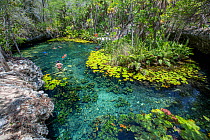 Nicte-Ha Cenote with people swimming, near Tulum, Quintana Roo, Yucatan Peninsula, Mexico.