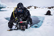 Diver checking camera before diving under sea ice near iceberg. Tasiilaq, East Greenland. April 2018.