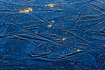 Patterns and reflections of rising sun in ice of frozen bog pool. Alam-Pedja Nature Reserve, Tartumaa, Southern Estonia. November 2018