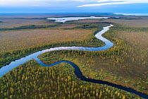 Kalli River flowing through swamp and swamp forest to Kalli Lake and Lake Peipsi / Peipus in distance, aerial view. Emajoe Suursoo Nature Reserve, Tartumaa, Estonia. October 2018.