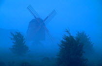 Windmill and trees silhouetted in fog, . Oland, Gotland, Sweden. June.