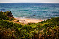 View from Block Island looking out to sea, with swimmers&#39; belongings on the beach, Rhode Island, USA. October 2008.