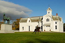 Staff riding a gelding UVM Morgan horse, showing typical high leg action, at historic UVM Morgan Horse Farm, Weybridge, Vermont, USA
