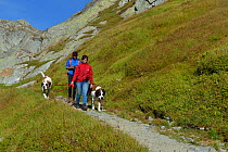 Hikers with St.Bernard rescue dogs near Lac du Grand Saint Bernard, Valais, Switzerland, September 2018.