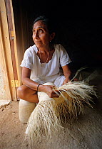 Maya woman weaving Panama hat with fibres of Jipijapa (Carludovica palmata) a palm-like perennial plant, Santa Cruz Hacienda, Yucatan Peninsula, Mexico, June