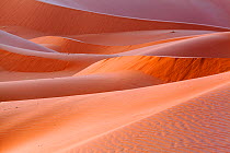 Erg Chebbi dune near Merzouga, Sahara Desert, Morocco, October