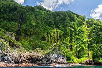 Forested coastal cliff with waterfall. Cocos Island National Park, Costa Rica. 2018.