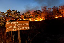 Forest fire in the Cerrado during dry season. Chapada dos Veadeiros National Park, Goias, Brazil. September 2010.
