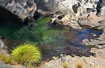 Freshwater pool in rock. Chapada dos Veadeiros National Park, Vale de Lua, Goias, Brazil.