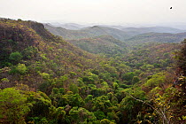 Forested landscape in Cerrado. Chapada dos Guimaraes National Park, Mato Grosso, Brazil. 2010.