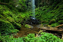 Waterfall in Sumatran rainforest, Batang Toru Forest, Sumatran Orangutan Conservation Project, Northern Sumatran Province, Indonesia.