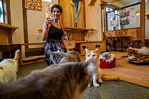 Woman taking pictures of cats at Kawaramati Cat Cafe, Kyoto, Japan