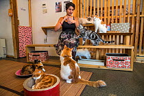 Woman with cats at Kawaramati Cat Cafe Kyoto, Japan