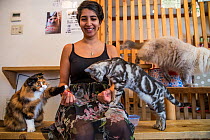 Woman with cats at Kawaramati Cat Cafe Kyoto, Japan
