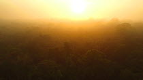 Aerial shot of the canopy of the Amazon Rainforest at dawn, Rio Tambopata, Madre de Dios, Peru, 2016.