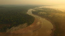 Aerial shot of the Amazon Rainforest at dawn, with mist over the canopy, Rio Tambopata, Madre de Dios, Peru, 2016.