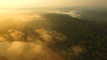 Aerial shot of the Amazon Rainforest at dawn, with mist over the canopy, Rio Tambopata, Madre de Dios, Peru, 2016.