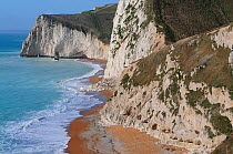 Chal cliffs and beach at Bat&#39;s Head, east Dorset Jurassic Coast, Dorset, England, UK. February 2013