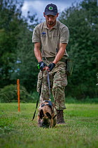 A young Belgian Shepherd anti-poaching dog is trained to follow a scent trail at an Animals Saving Animals training facility in England before being deployed to Africa to protect endangered species.