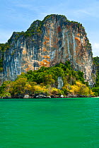 Limestone cliffs. Krabi coast. Krabi province, Andaman Sea, Thailand,