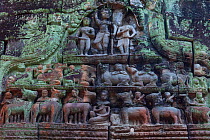 Preah Khan Temple. Angkor. Siem Reap town, Siem Reap province. Cambodia.