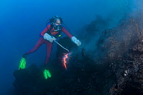 Shimmering heat waves distort the image of diver as he samples erupting pillow lava at ocean entry of Kilauea Volcano, Hawaii Island.
