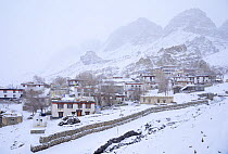 Key village and monastery (Buddisth) snowed in Spiti valley, Cold Desert Biosphere Reserve, Himalaya mountains, Himachal Pradesh, India, february