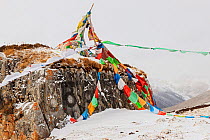 Snow covered mountain landscape and prayer flags, Serxu County, Garze Prefecture, Sichuan Province, China.
