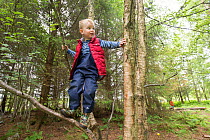 Boy climbing tree in woodland during forest kindergarten session. Aberdeen, Aberdeenshire, Scotland, UK. Editorial use only