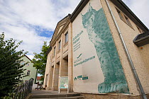 Painting on wall of Saxon Switzerland National Park information centre, part of Eurasian lynx (Lynx lynx) branding. Bad Schandau, Germany.