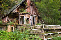 Nature reclaiming abandoned building. Bohemian Switzerland National Park, Czech Republic.