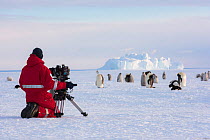 Cameraman Lindsay McCrae filming Emperor penguin (Aptenodytes forsteri) colony for BBC Dynasties Penguin programme. Chicks are on sea ice whilst parents fish at sea. Atka Bay, Antarctica. December 201...