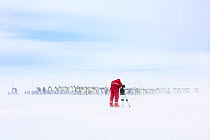 Cameraman Lindsay McCrae filming Emperor penguin (Aptenodytes forsteri) breeding colony on ice shelf in drifting snow, for BBC Dynasties Penguin programme. Atka Bay, Antarctica. October 2017.