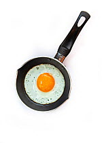Fried hen&#39;s egg in small frying pan.