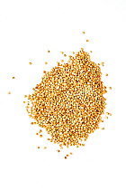 Dried quinoa on white background.
