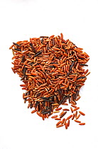 Red rice on white background.