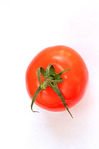 Tomato on white background.