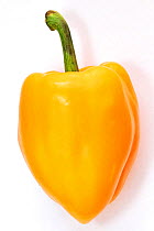 Yellow bell pepper on white background.