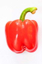 Red bell pepper on white background.