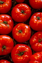 Tomatoes for sale in market, North London, England
