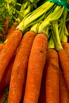 Carrots for sale in supermarket.