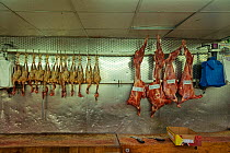 Meat: Chicken and pork carcasses at supermarket, North London, England