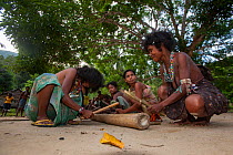 Women of the Batak indigenous tribe using bamboo for percussion for a traditional hunting dance in Sitio Kalakwasan in Cleopatra&#39;s Needle Critical Habitat, Palawan, Philippines.