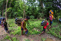 Batak people embarking on Almaciga tree (Agathis philippinensis) replanting expedition in Cleopatras Needle Critical Habitat, Palawan, the Philippines.